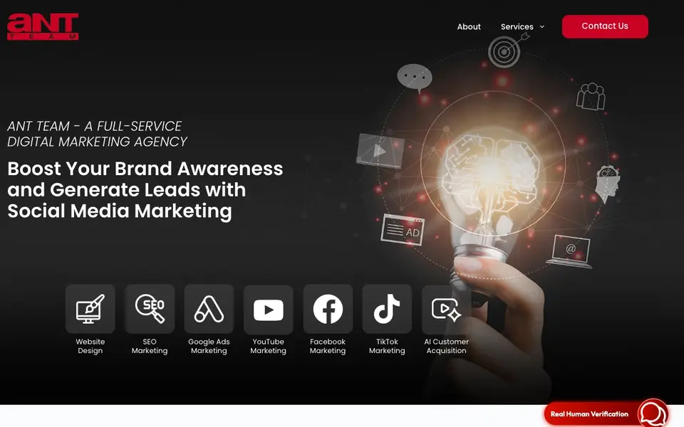 Ant Team Social Media Marketing Agency website homepage, 4 Oct 2026